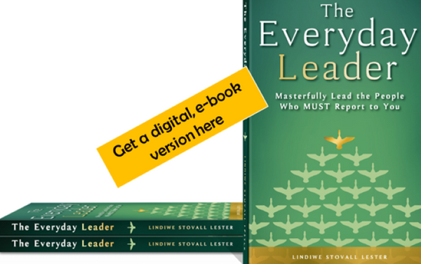 The Everyday Leader e-book download
